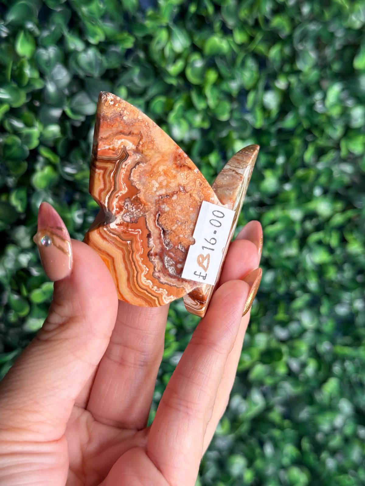Crazy Lace Agate 3D Butterfly Crystal Carving from Indonesia B