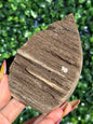 Sparkly Petrified Wood Teardrops - Indonesia
