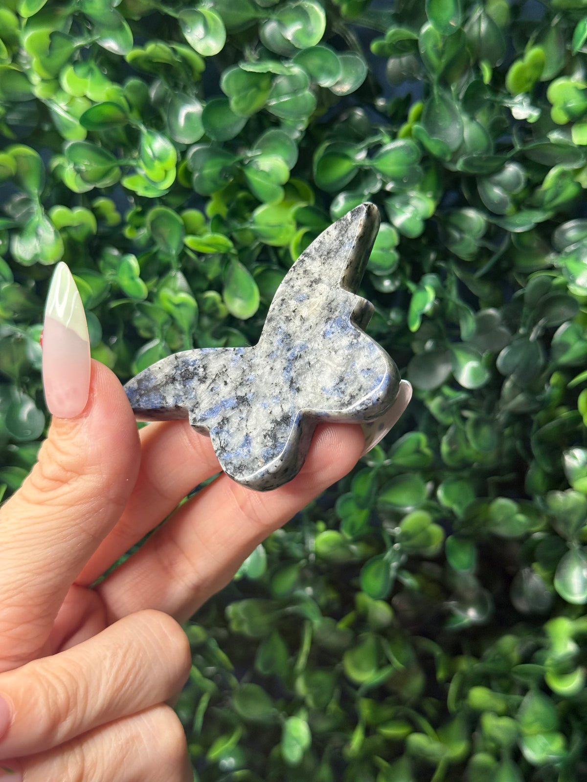 Sodalite Mini Butterfly Crystal Carvings - Pakistan