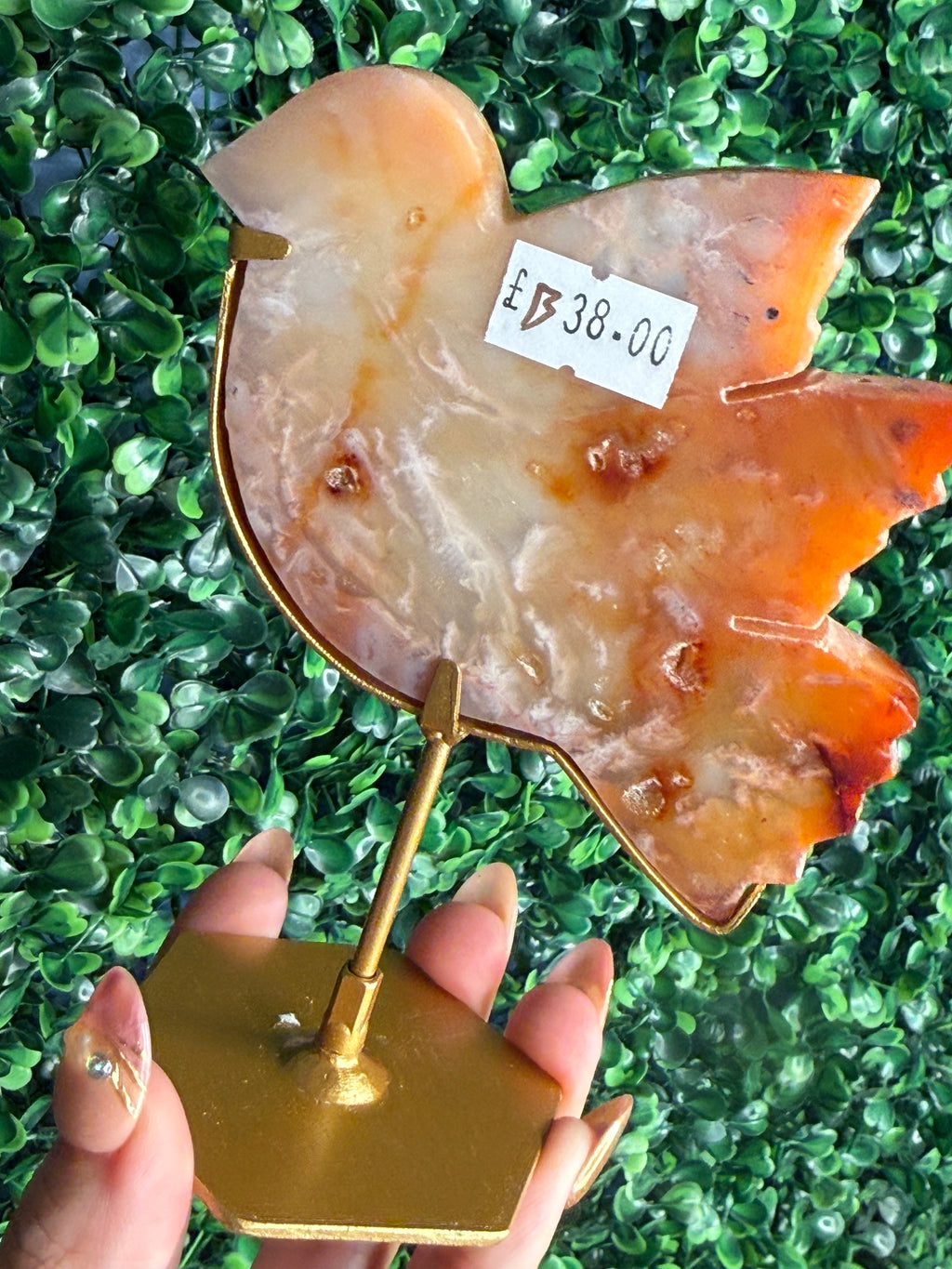 Carnelian Bird Crystal Carving from Indonesia - B