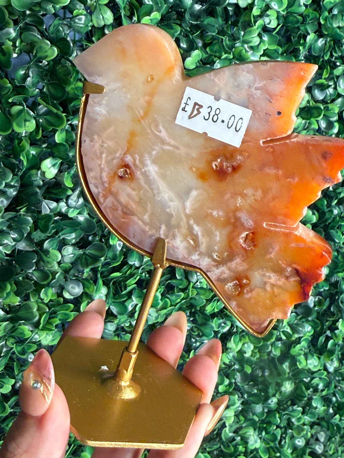 Carnelian Bird Crystal Carving from Indonesia - B