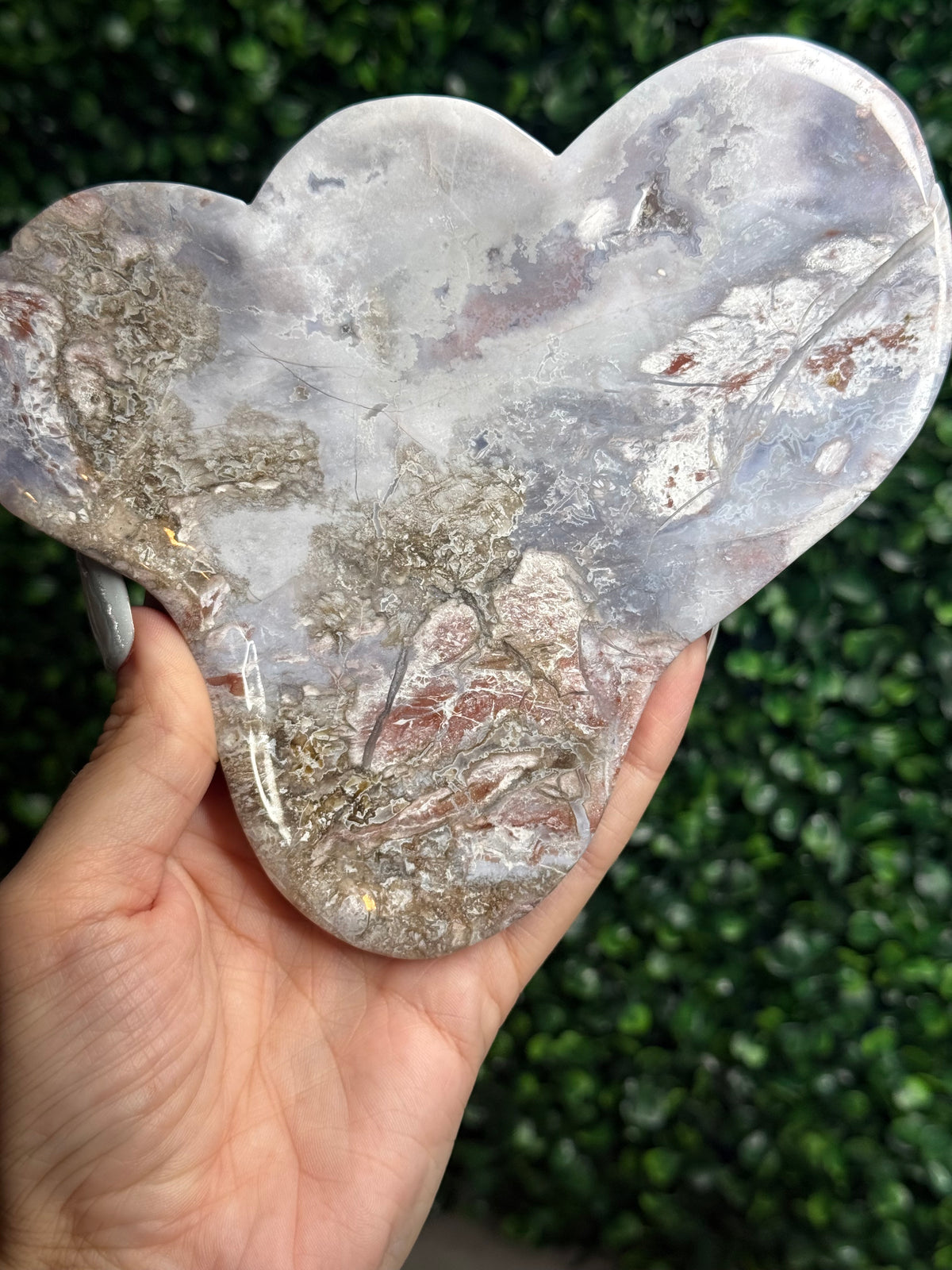 Pink & Purple Petrified Wood Bowl Trays Crystal Carvings - G