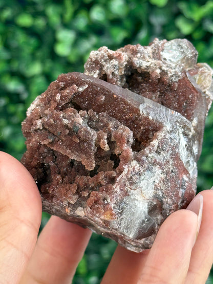 Red Hematite Quartz Crystal Specimen - Morocco B