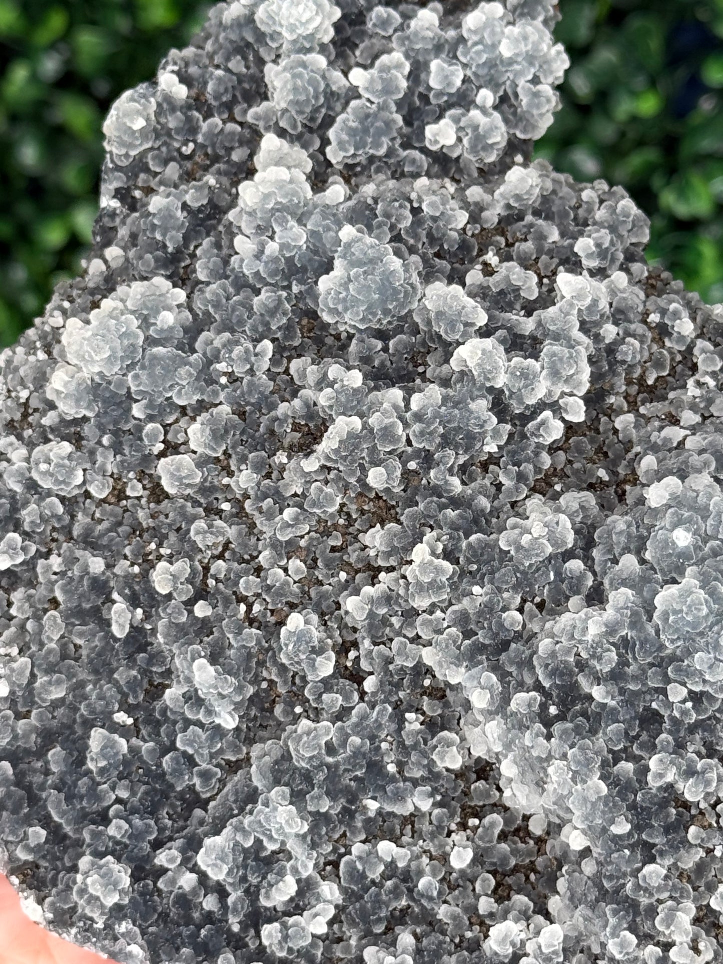 Black Chalcedony Crystal Specimen P