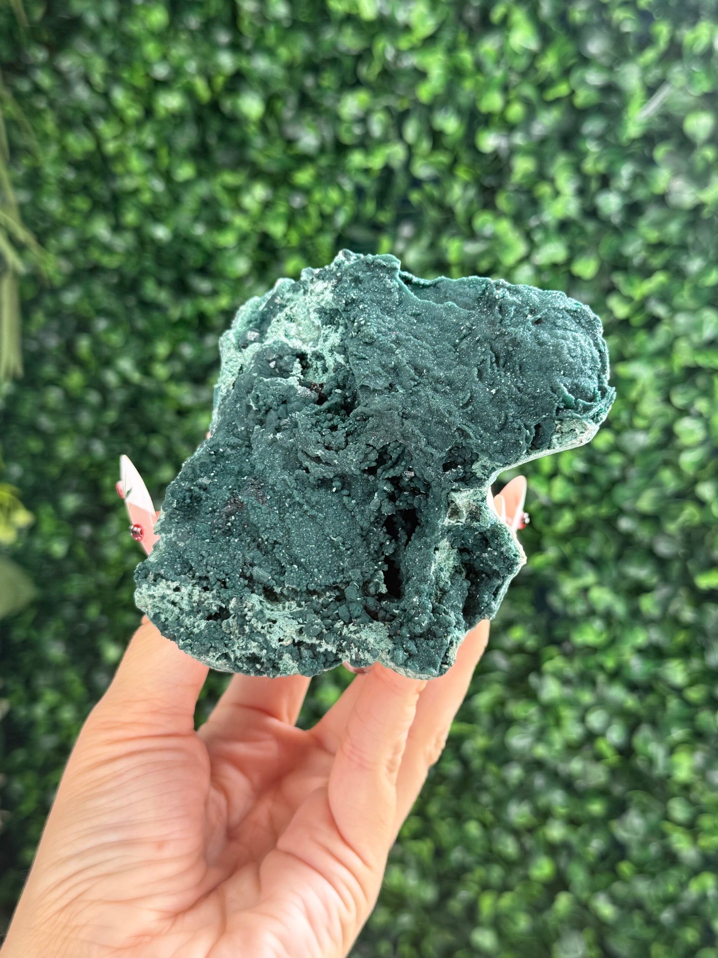 Marshy and Green Apophyllite Crystal Specimens from India