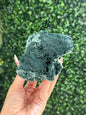 Marshy and Green Apophyllite Crystal Specimens from India