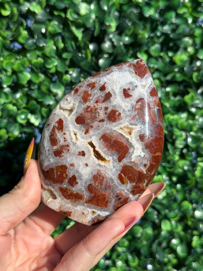 Red Brecciated Jasper Druzy Crystal Teardrops - Indonesia