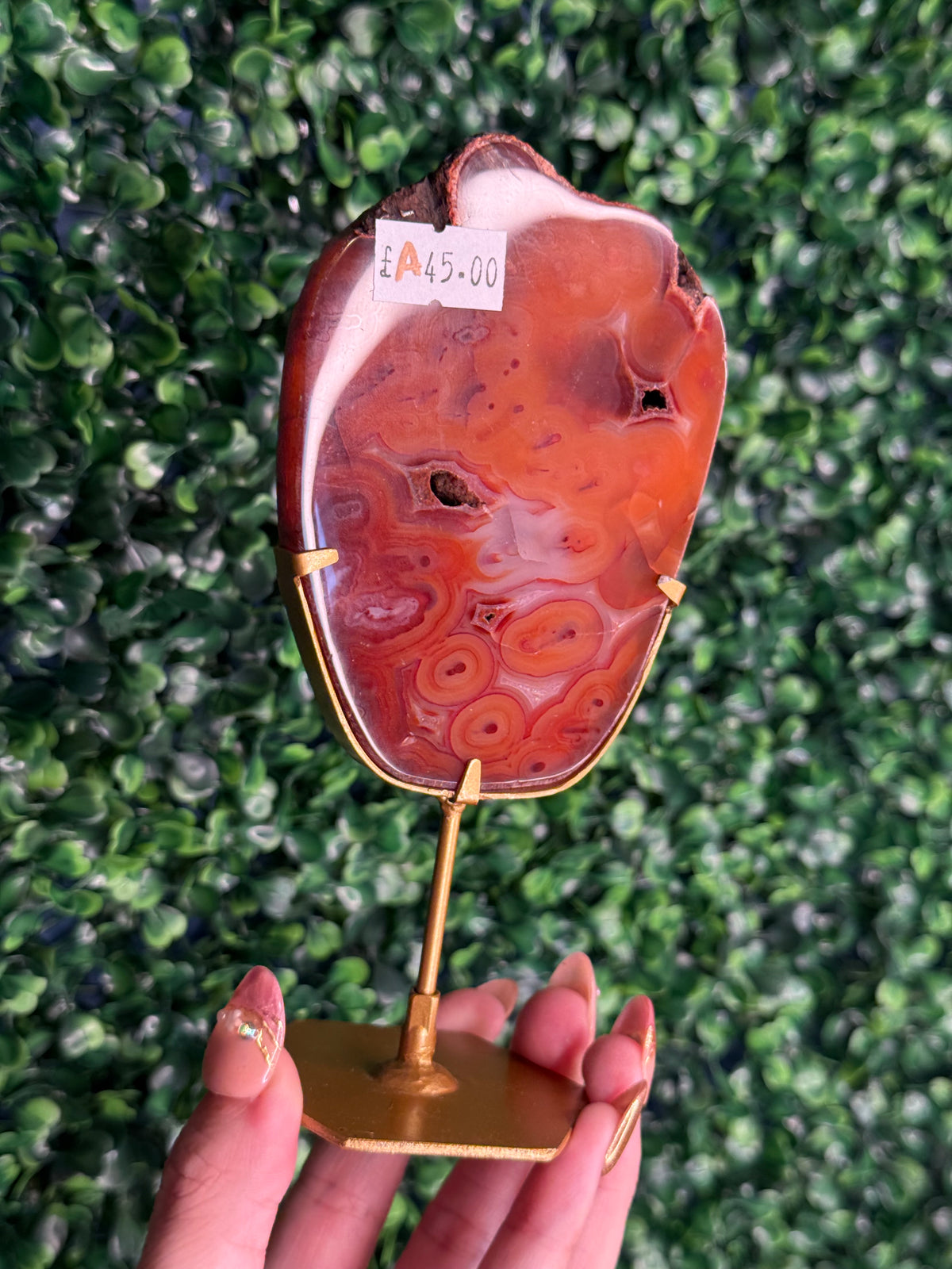 Red Carnelian Slab A from Indonesia with gold stand