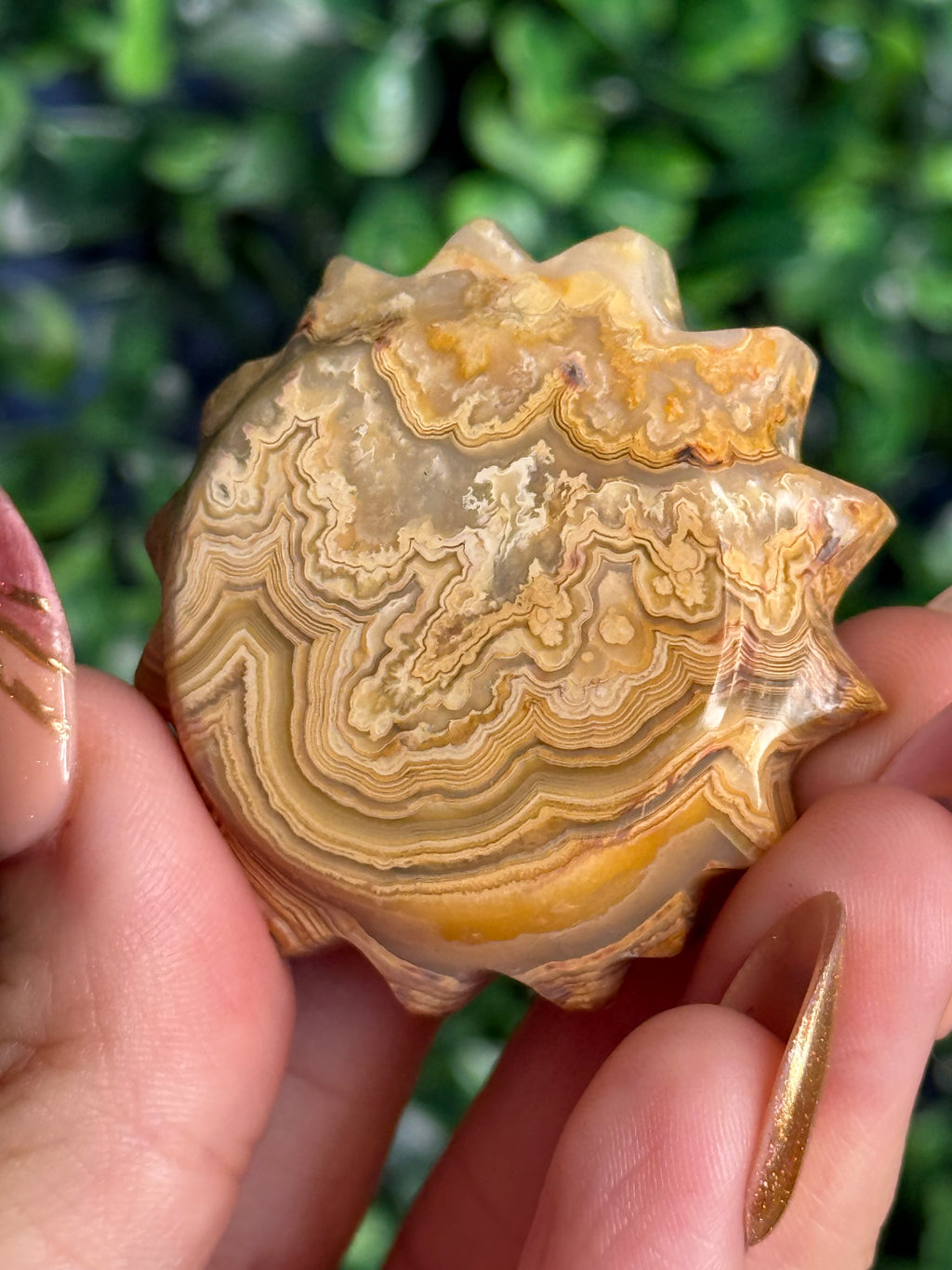 Yellow Crazy Lace Agate Mini Sun X from Indonesia
