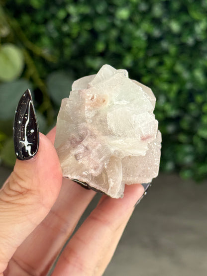 Pink & Green Apophyllite Specimens - W