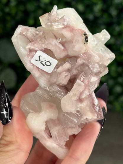 Pink & Green Apophyllite Specimens - S