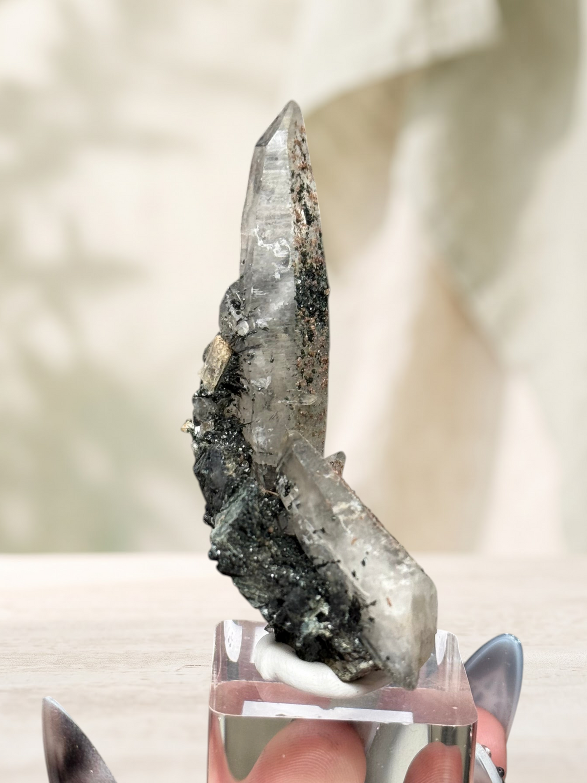 Crystal Glade laser quartz specimen from Balochistan, Pakistan, featuring a slender, tapering clear crystal point.