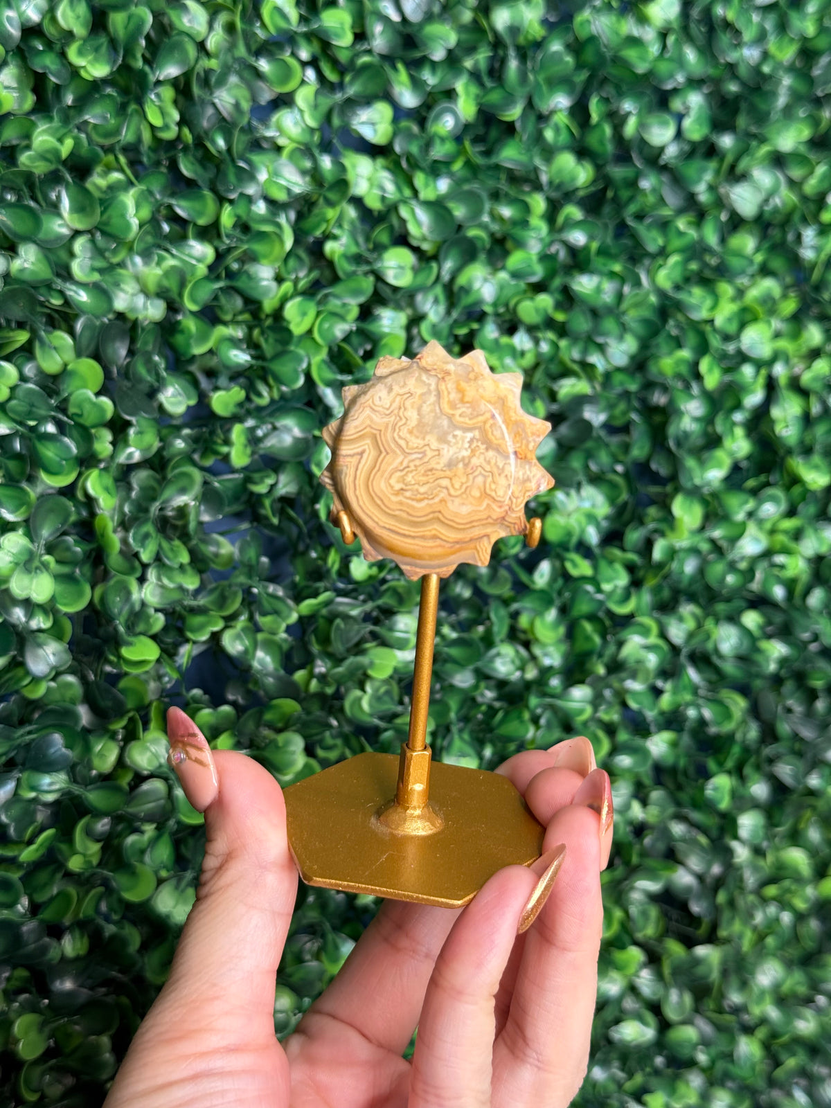 Yellow Crazy Lace Agate Mini Sun X from Indonesia