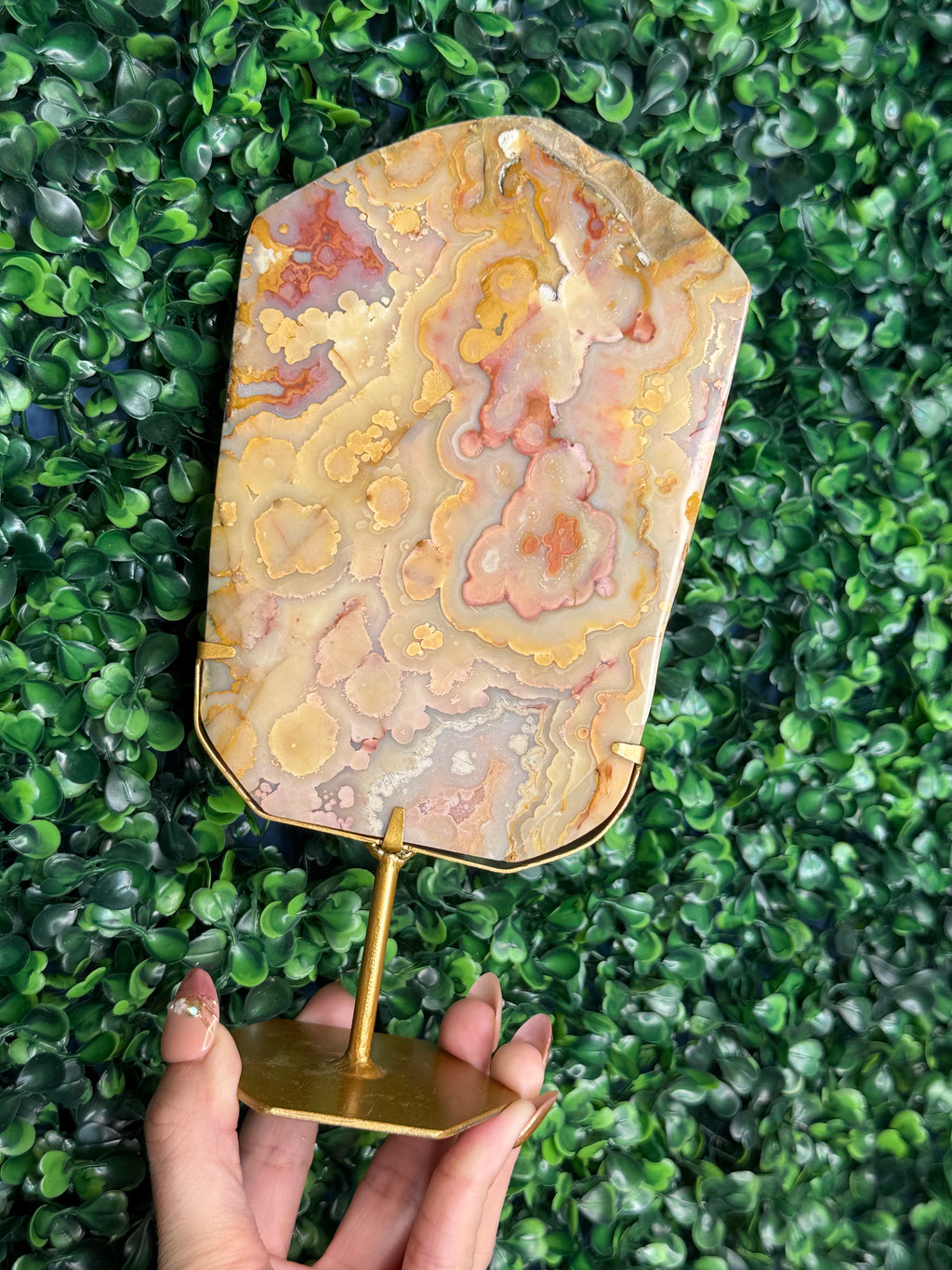 Colourful Crazy Lace Agate Slab from Indonesia E