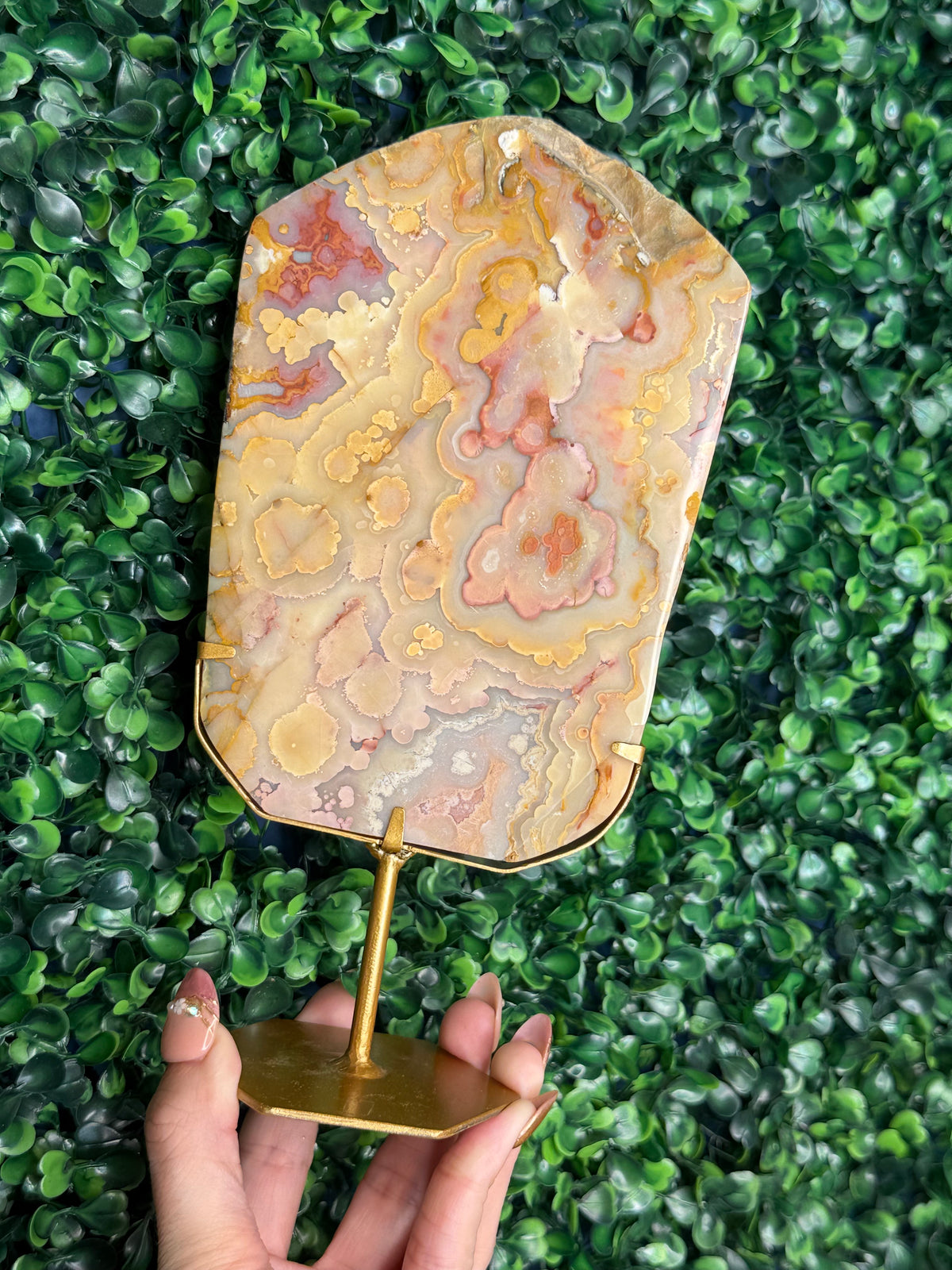 Colourful Crazy Lace Agate Slab from Indonesia E