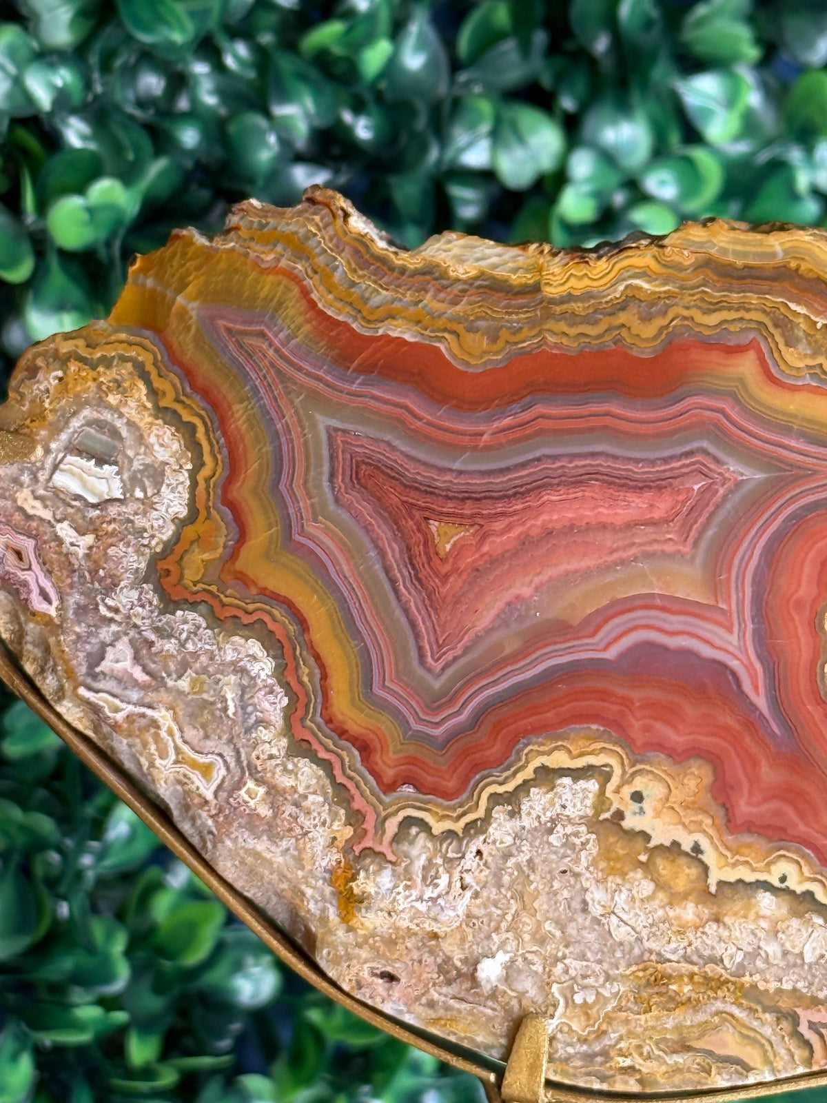 Colourful Crazy Lace Agate Slab from Indonesia - N