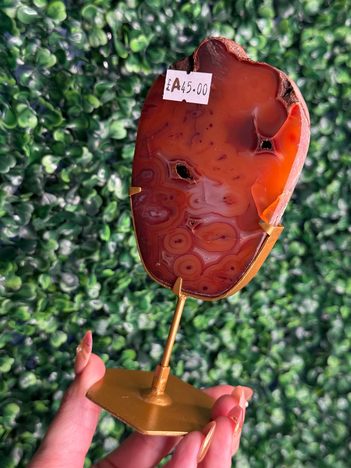 Red Carnelian Slab A from Indonesia with gold stand