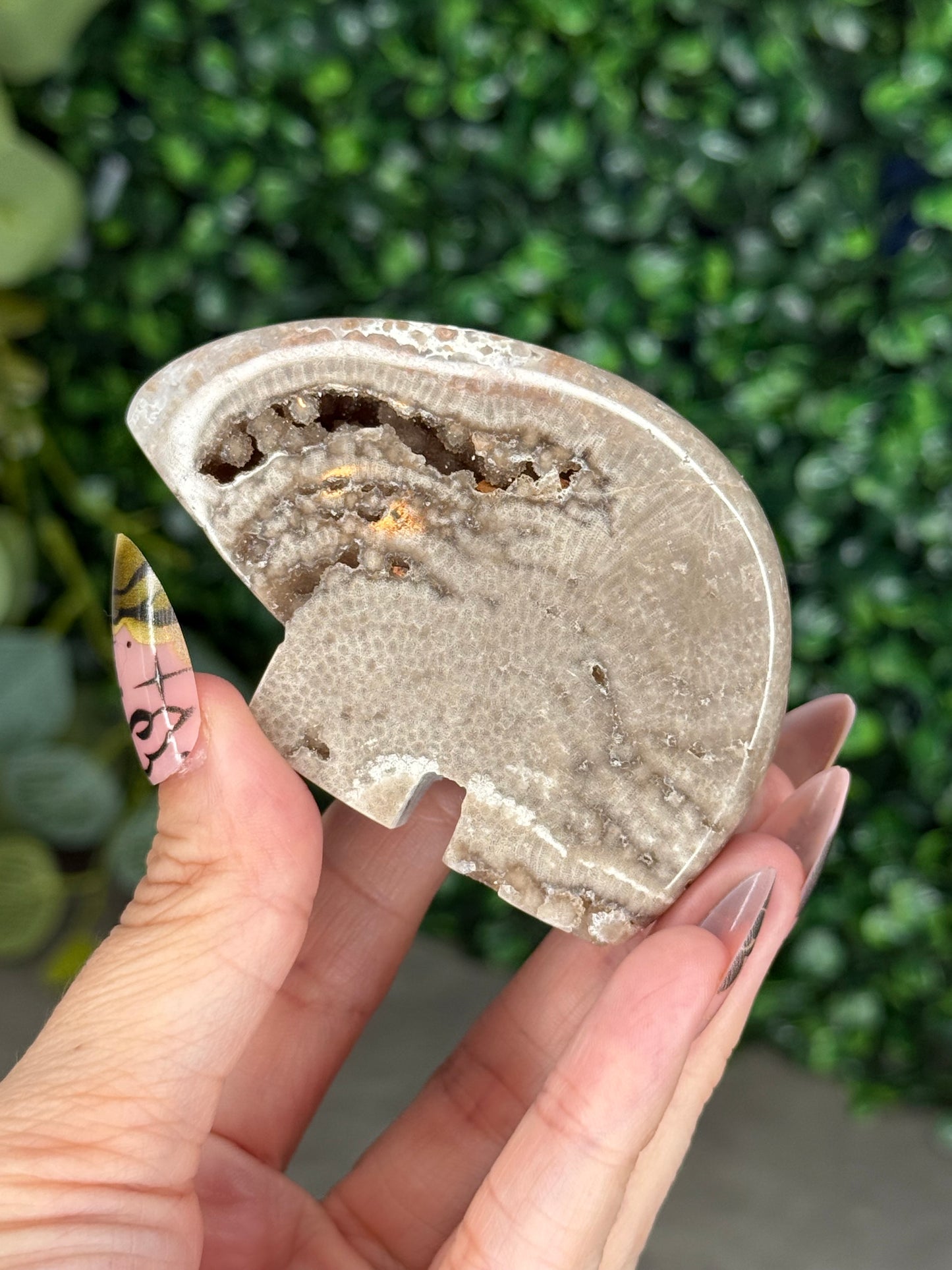 Chocolate Ocean Jasper Bear Crystal Carving