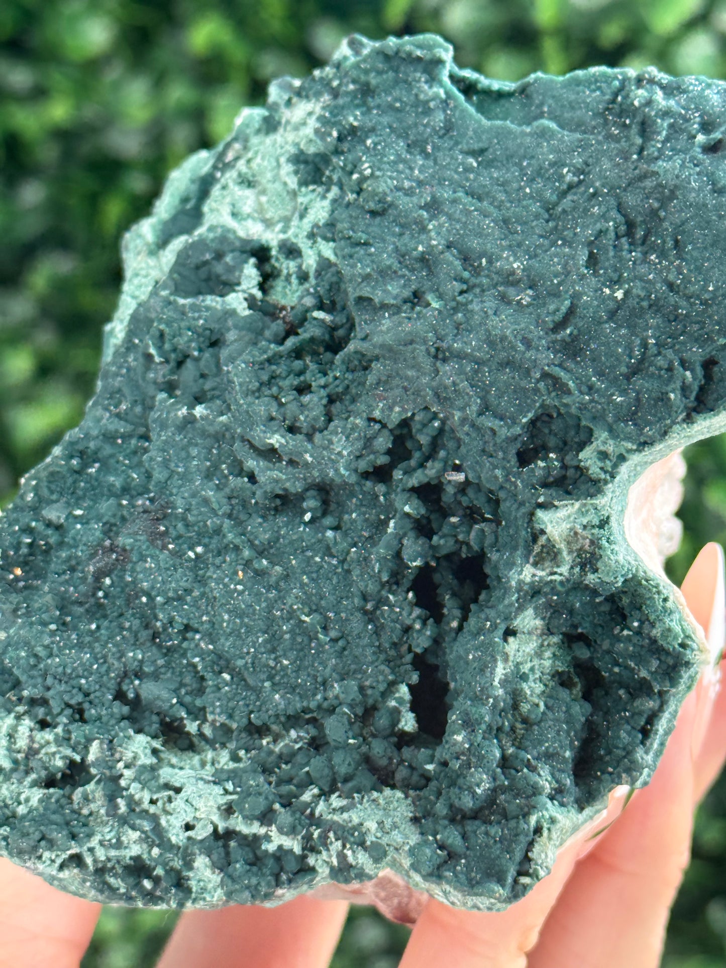 Marshy and Green Apophyllite Crystal Specimens from India