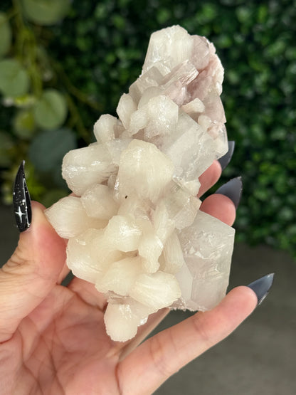 Pink & Green Apophyllite Specimens - G
