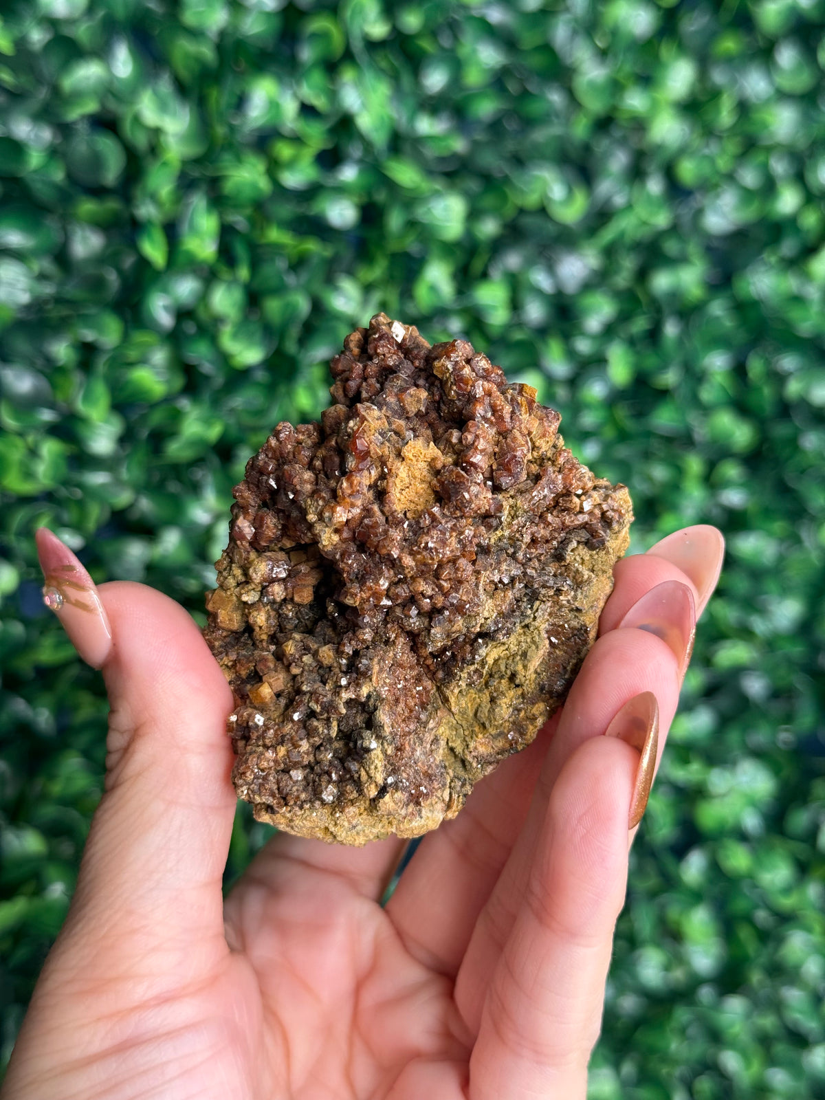 Andradite garnet from Nusa Tenggara Timur - Indonesia - C