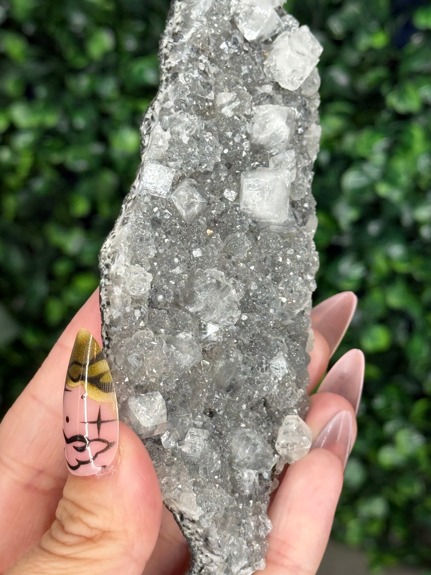 Black Chalcedony with Apophyllite M