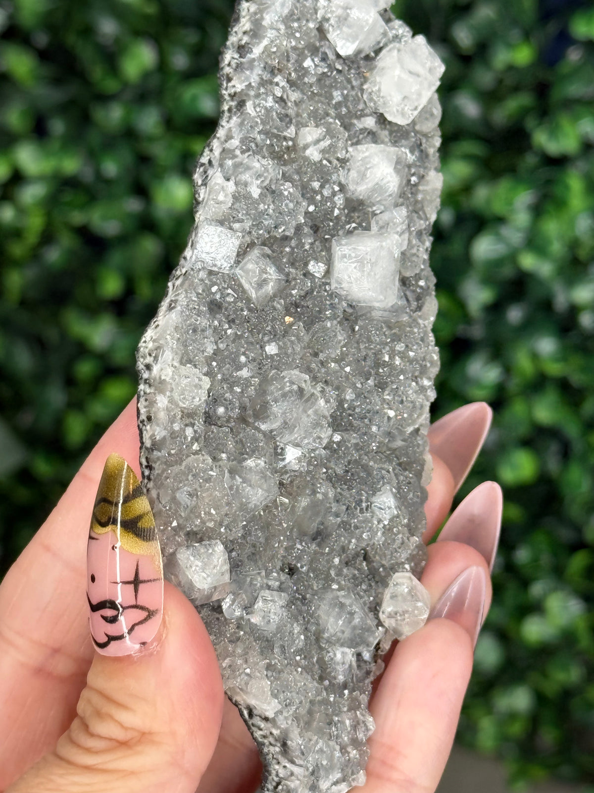 Black Chalcedony with Apophyllite M