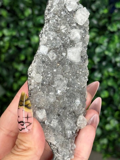 Black Chalcedony with Apophyllite M