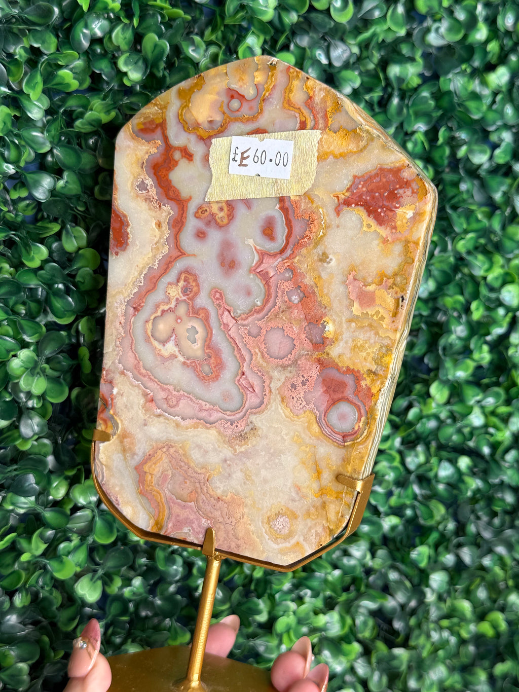 Colourful Crazy Lace Agate Slab from Indonesia E