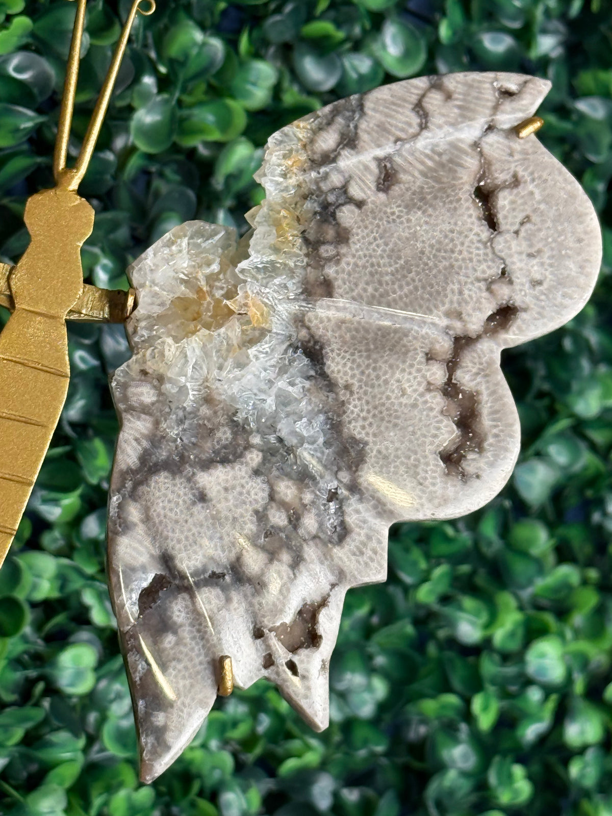Chocolate Ocean Jasper with Quartz Butterfly Wings from Indonesia