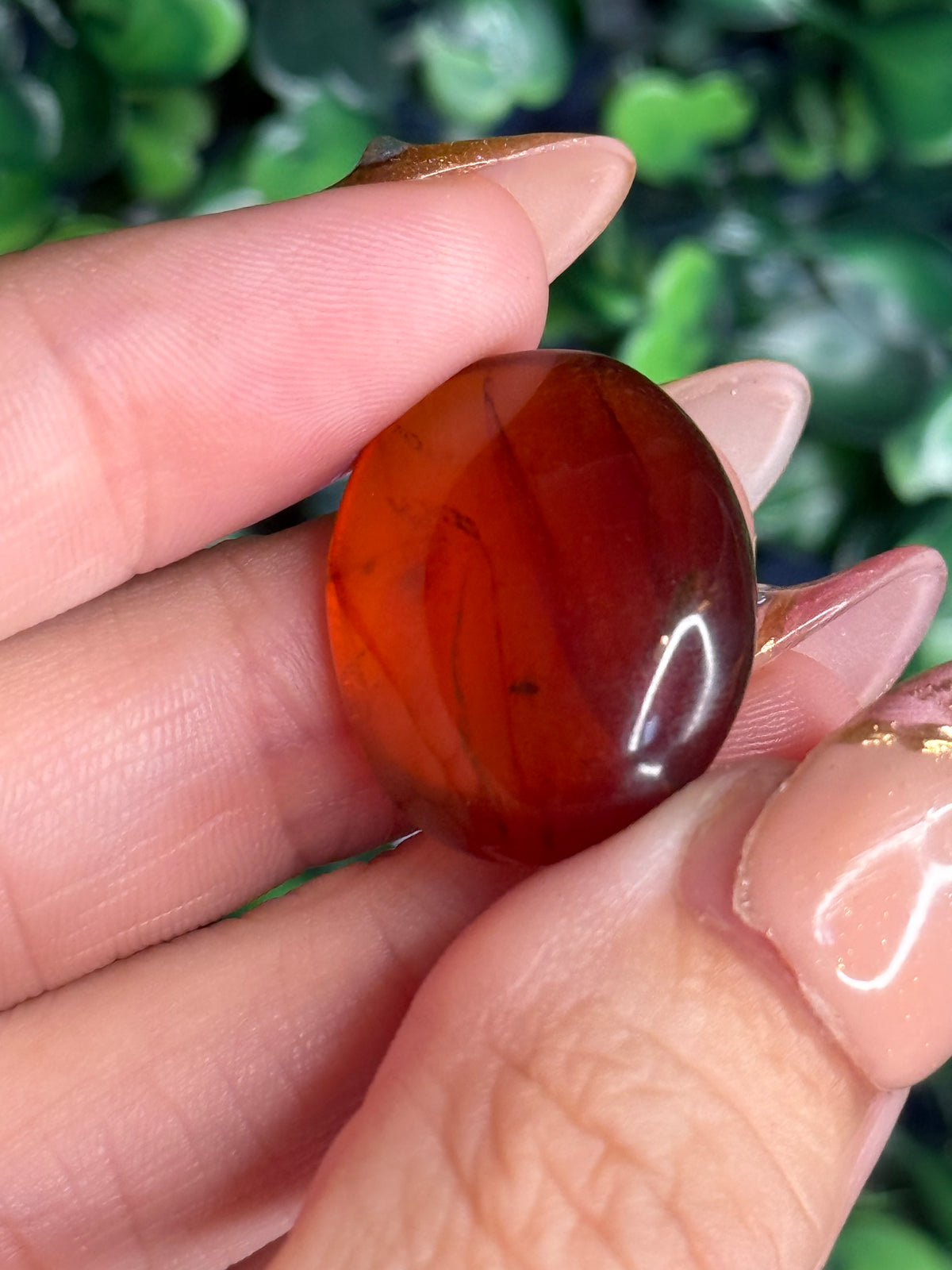 Burmese Cretaceous Amber (UV Fluorescent) with Insects and Inclusions C