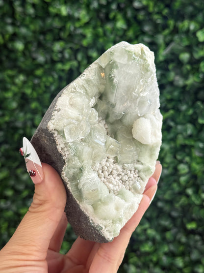 Green Apophyllite with Mordenite Crystal Specimen from India 400g