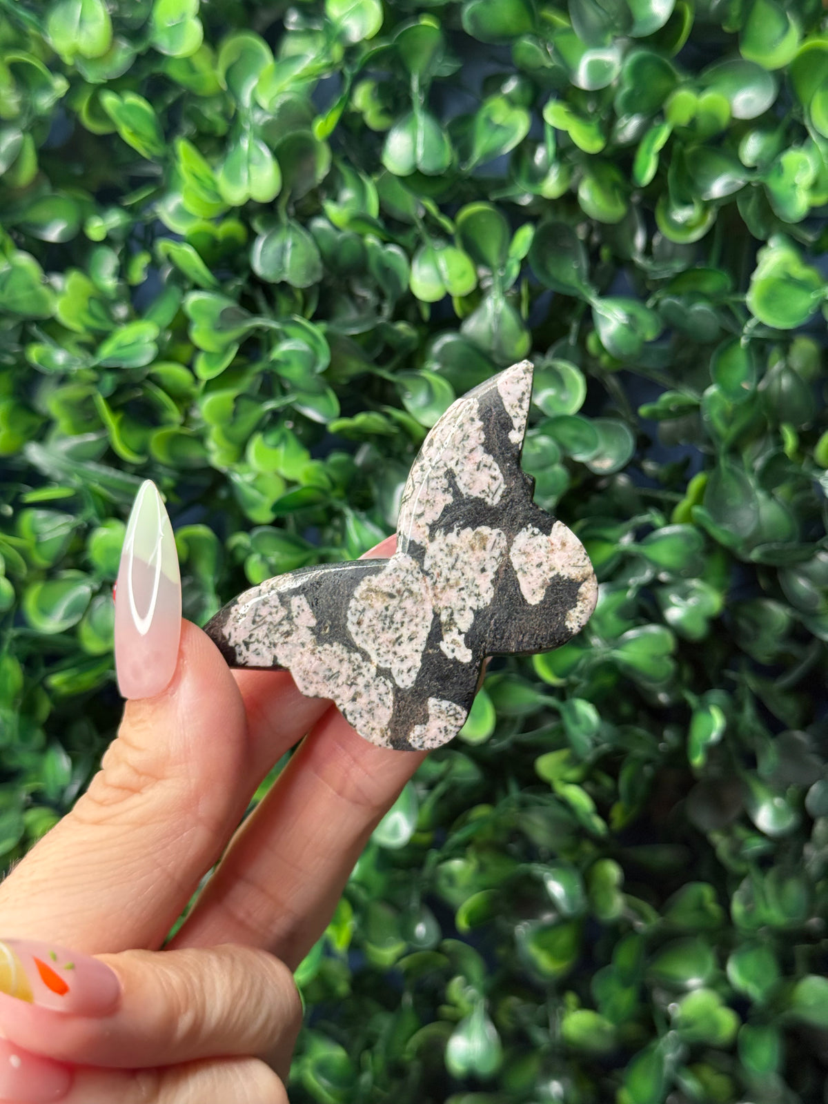 Snowflake Obsidian Mini Butterfly Crystal Carvings - Pakistan