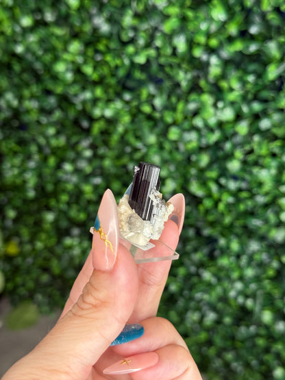 Black Tourmaline (Schorl) Specimen with Albite & Quartz — Skardu Valley, Pakistan - A