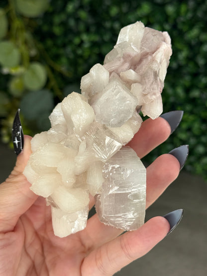 Pink & Green Apophyllite Specimens - G