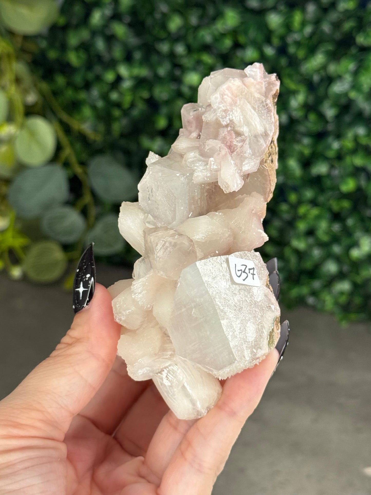 Pink & Green Apophyllite Specimens - G