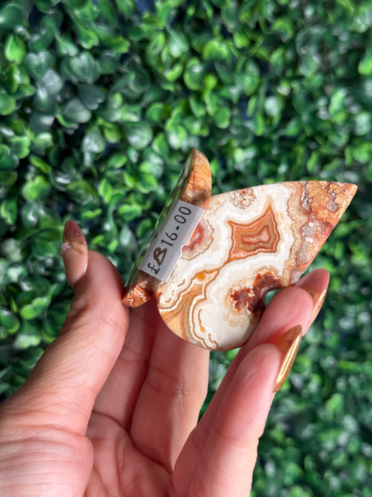Crazy Lace Agate 3D Butterfly Crystal Carving from Indonesia B