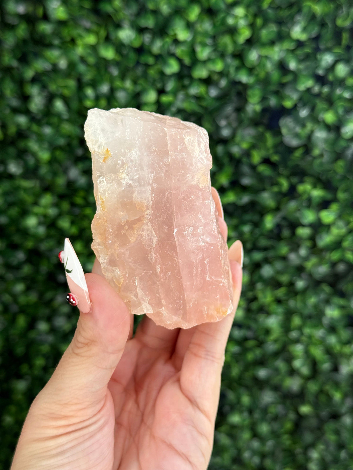 Raw Rose Quartz Crystal From Colorado USA B