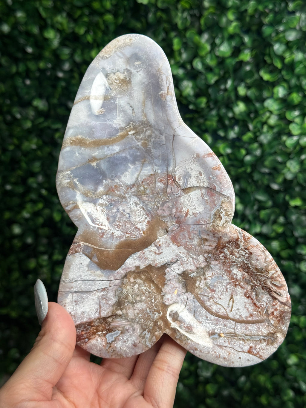 Pink & Purple Petrified Wood Bowl Trays Crystal Carvings - F