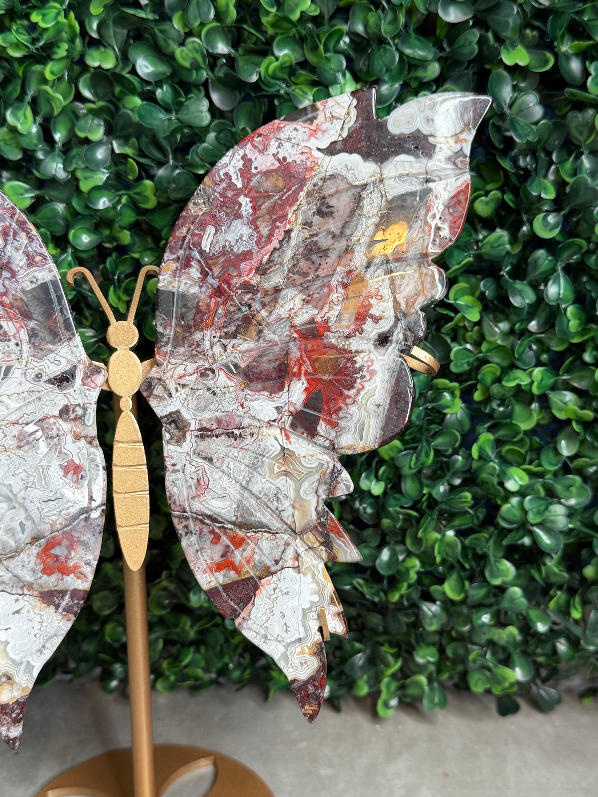 Mexican Lace Agate XL Butterfly Wings Crystal Carvings