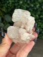 Pink & Green Apophyllite Specimens - C