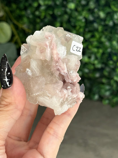 Pink & Green Apophyllite Specimens - C