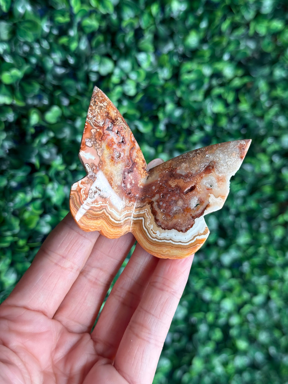 Crazy Lace Agate 3D Butterfly Crystal Carving from Indonesia D