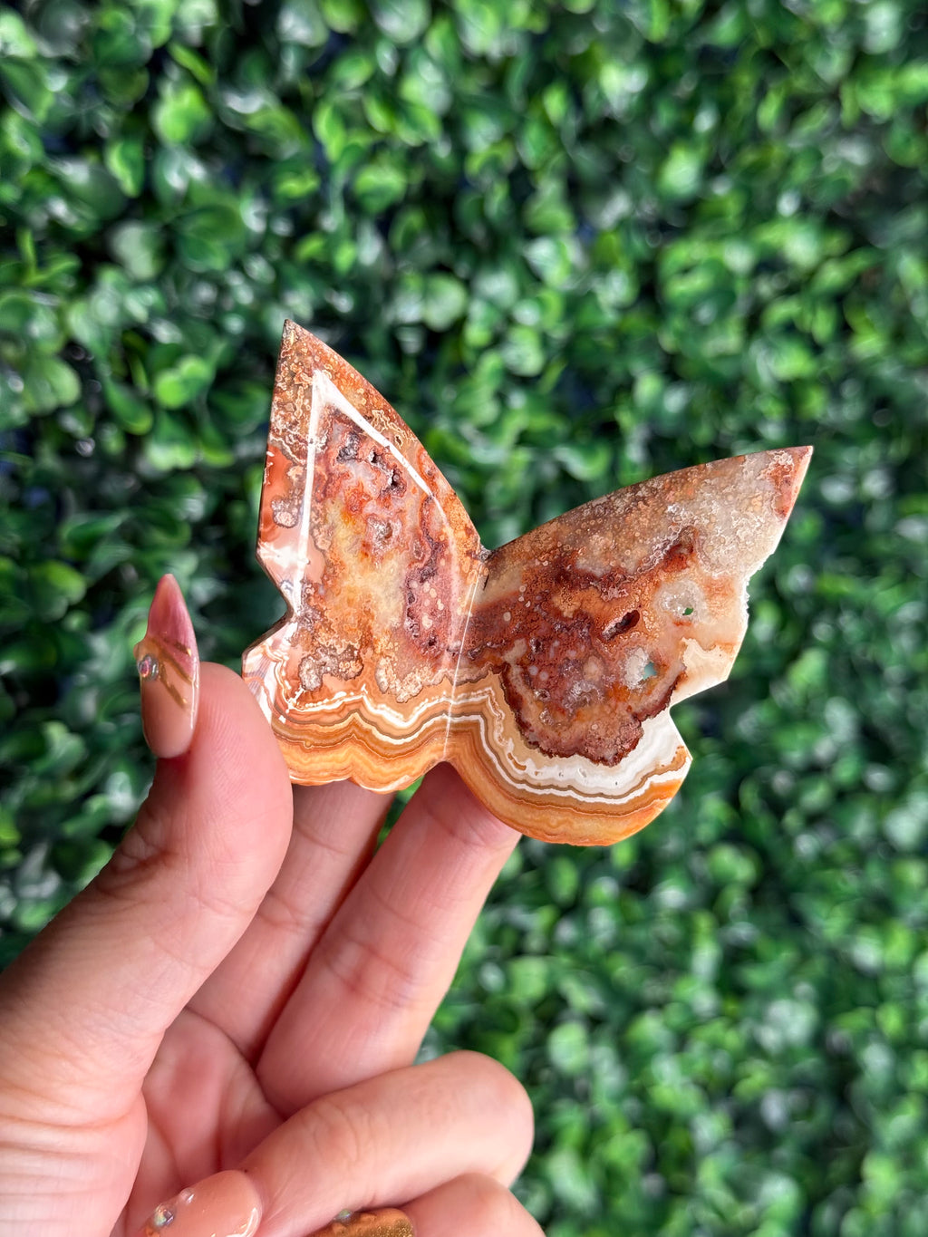 Crazy Lace Agate 3D Butterfly Crystal Carving from Indonesia D