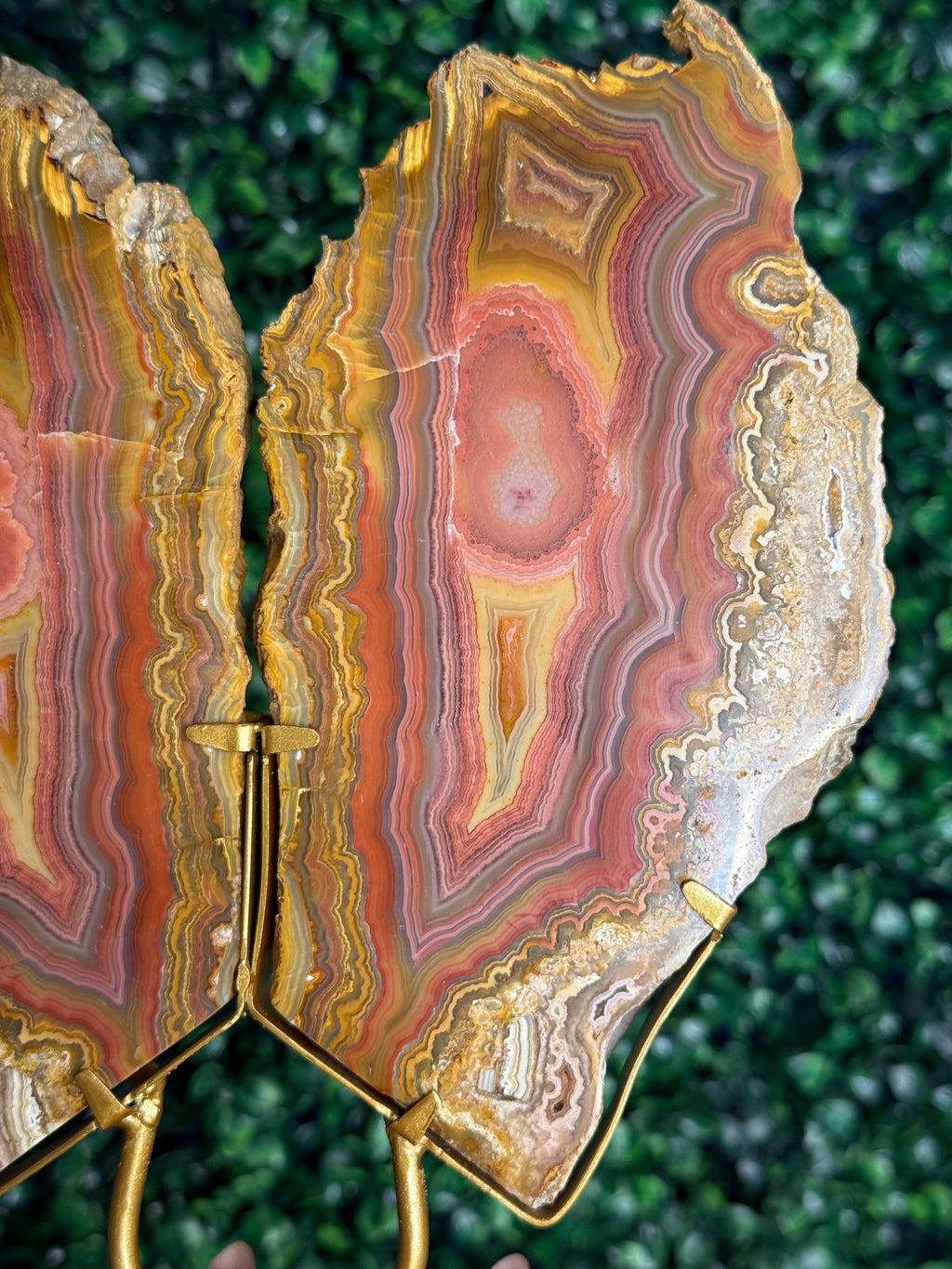 Colourful Crazy Lace Agate Slab Pair from Indonesia - X