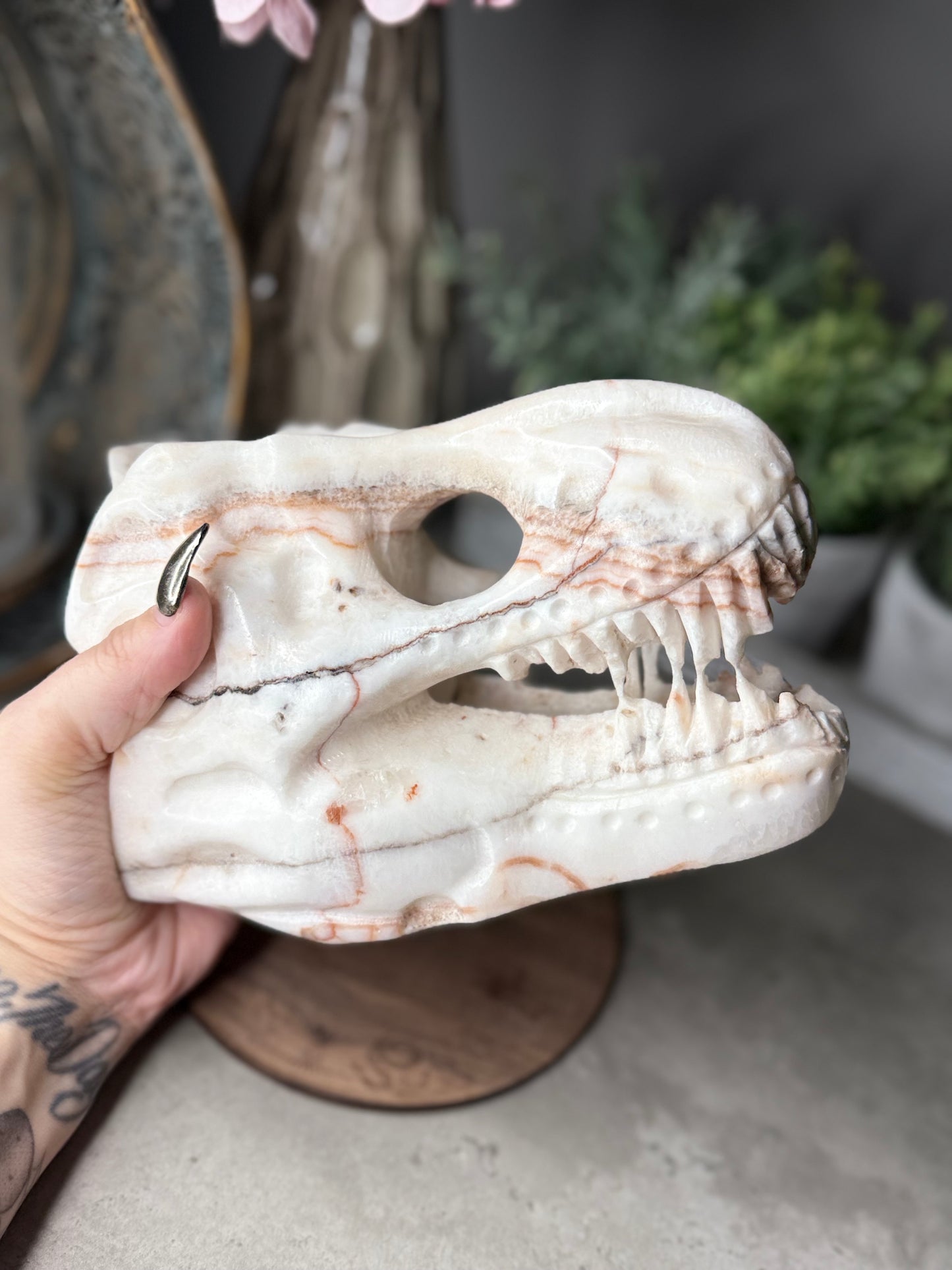 Red Banded Calcite T-Rex Skull