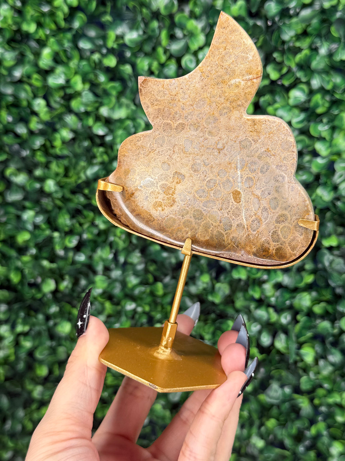 Fossil Coral Cloud & Moon Crystal Carving - A