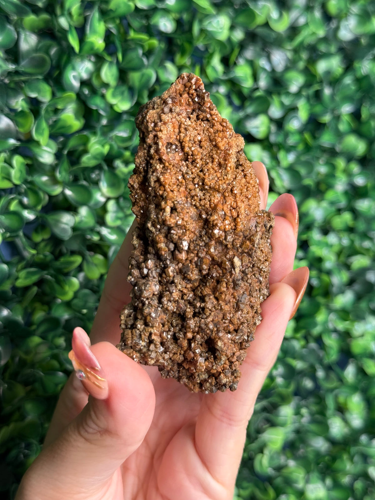 Andradite garnet from Nusa Tenggara Timur - Indonesia - D