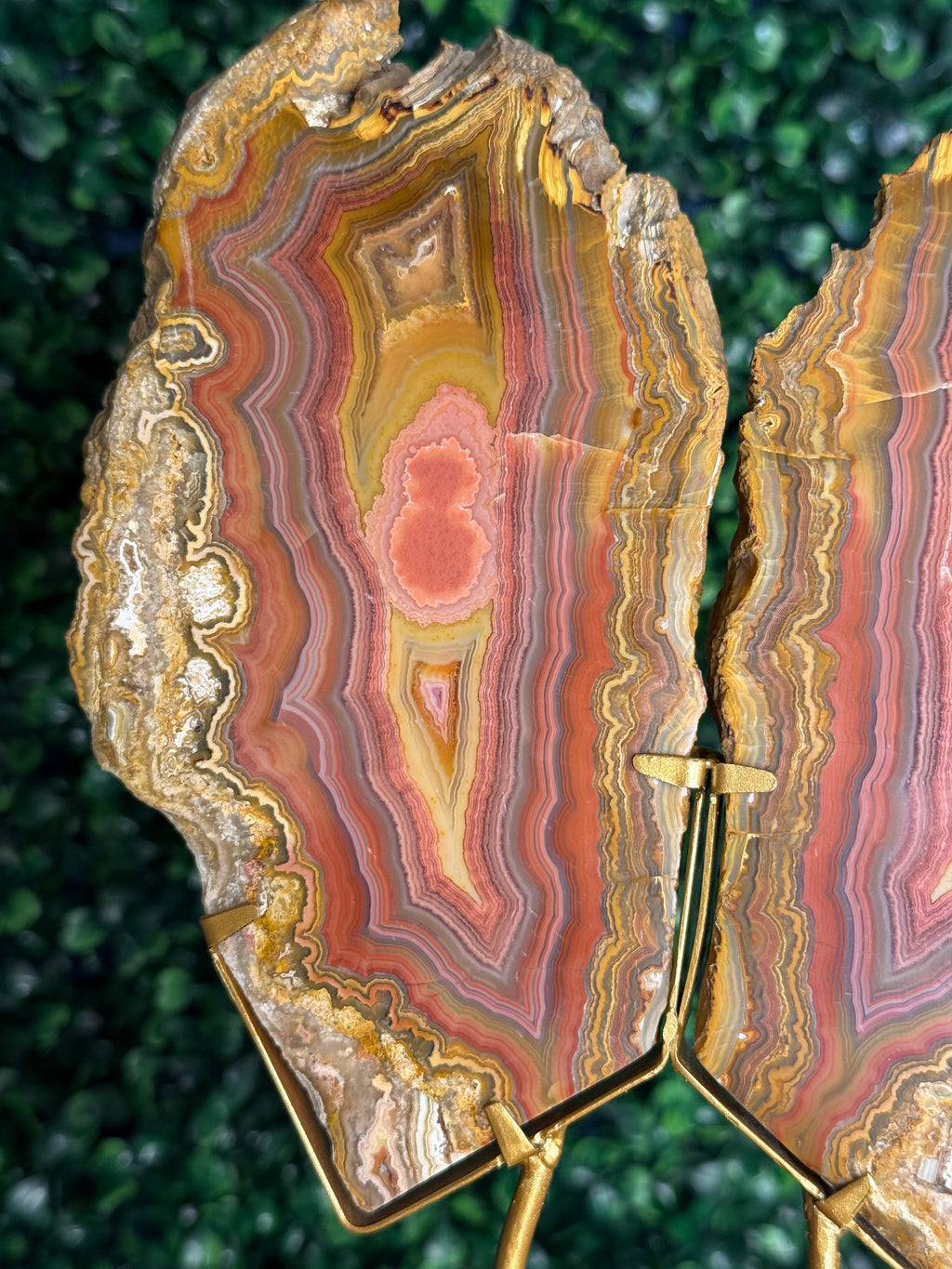 Colourful Crazy Lace Agate Slab Pair from Indonesia - X