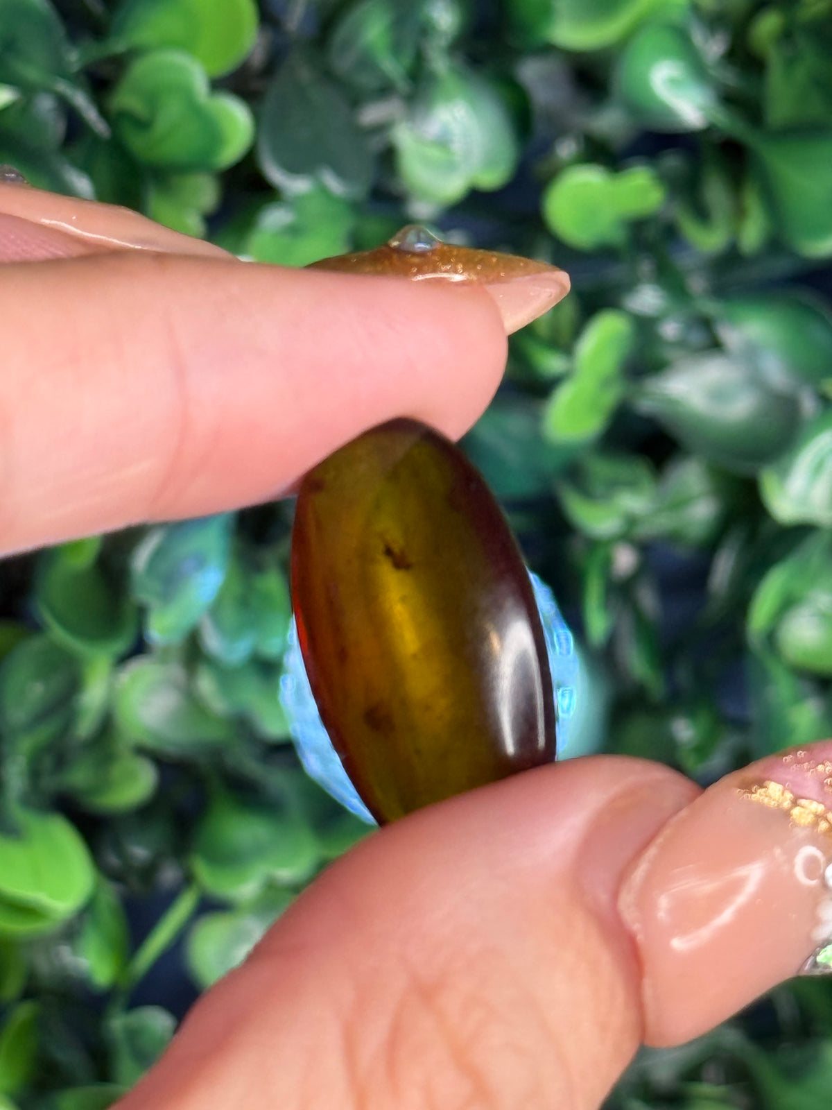 Burmese Cretaceous Amber (UV Fluorescent) with Insects and Inclusions A